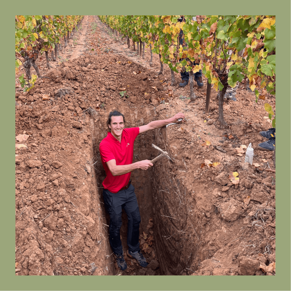 Etude des sols de notre vignoble