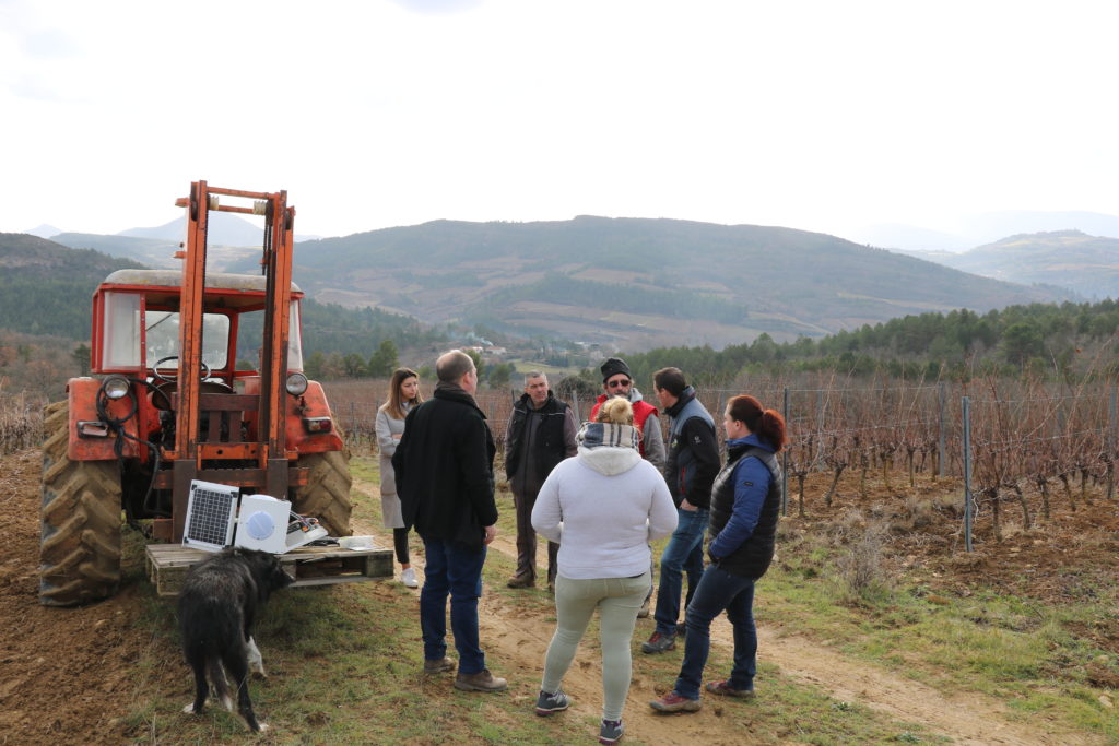 musique dans les vignes