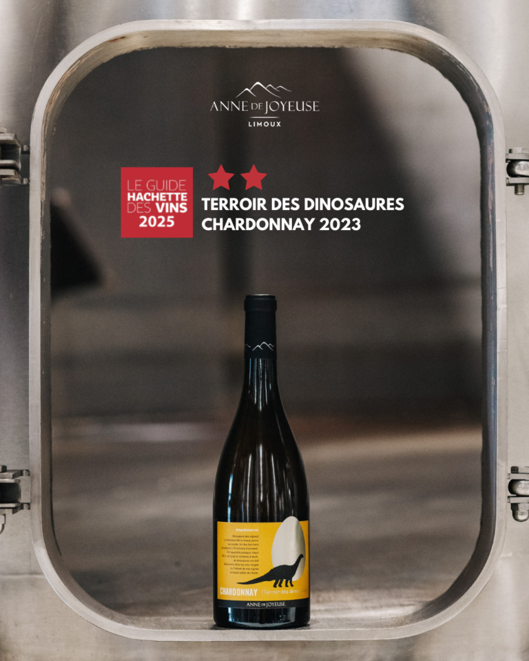 Terroir des dinosaure chardonnay
