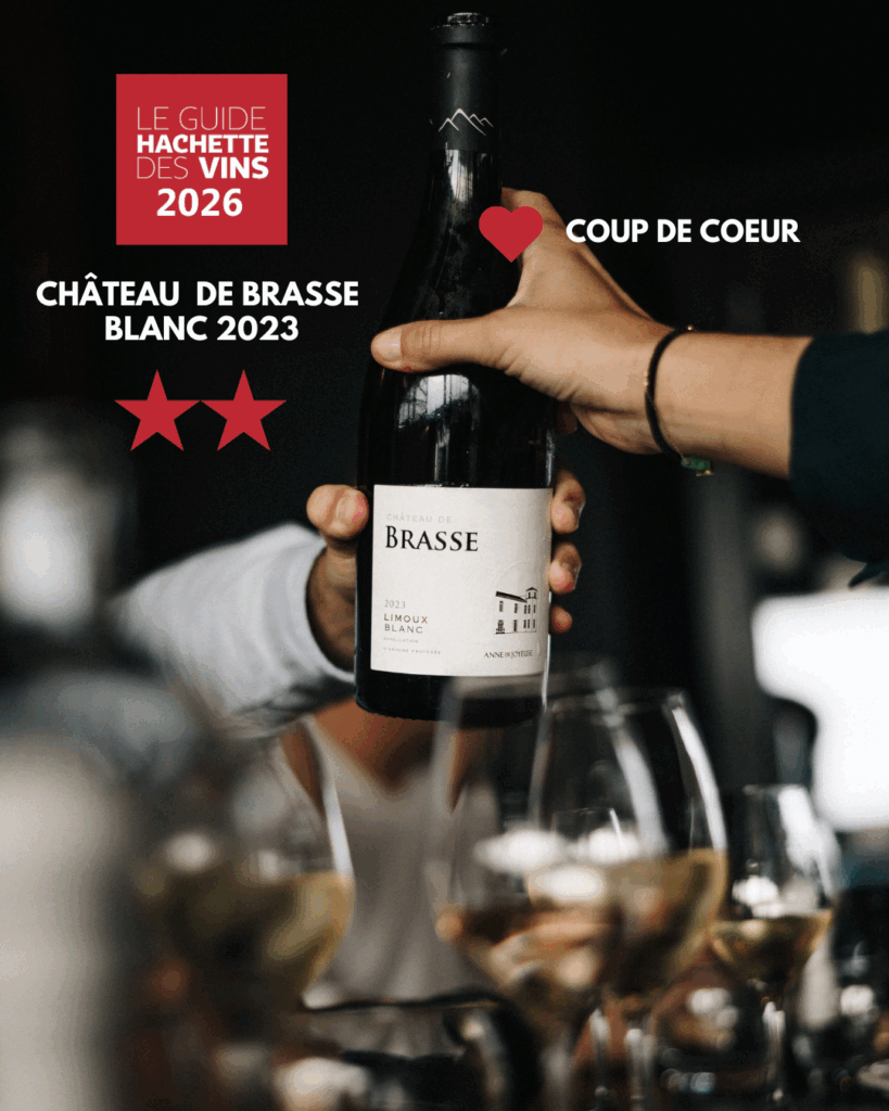 chateau de brasse
