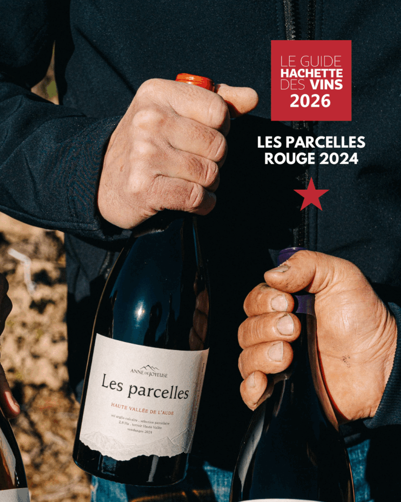 les parcelle pinot noir